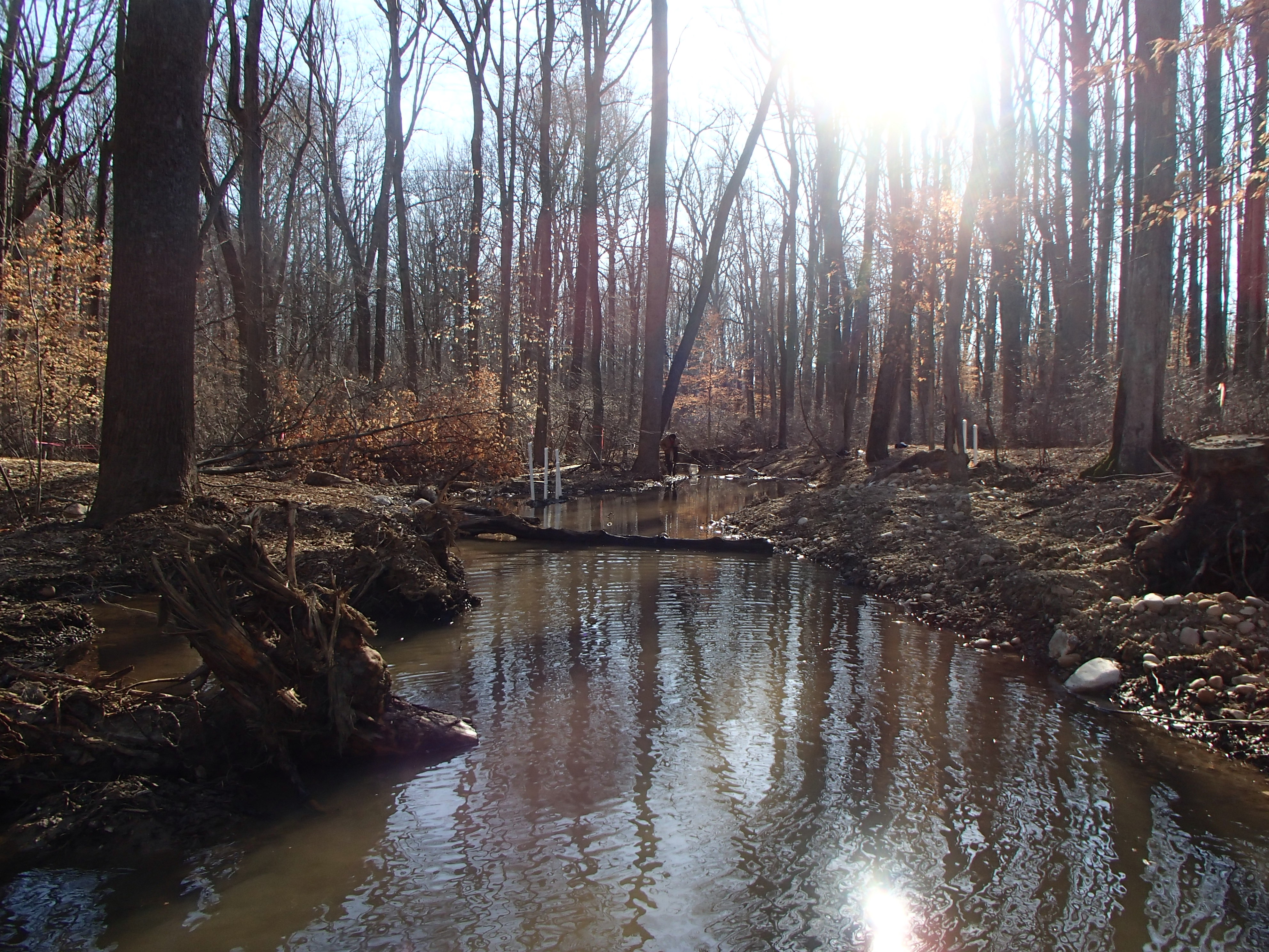 Field photo showing stream conditions at site WEST-103-X-2016_midpoint looking downstream